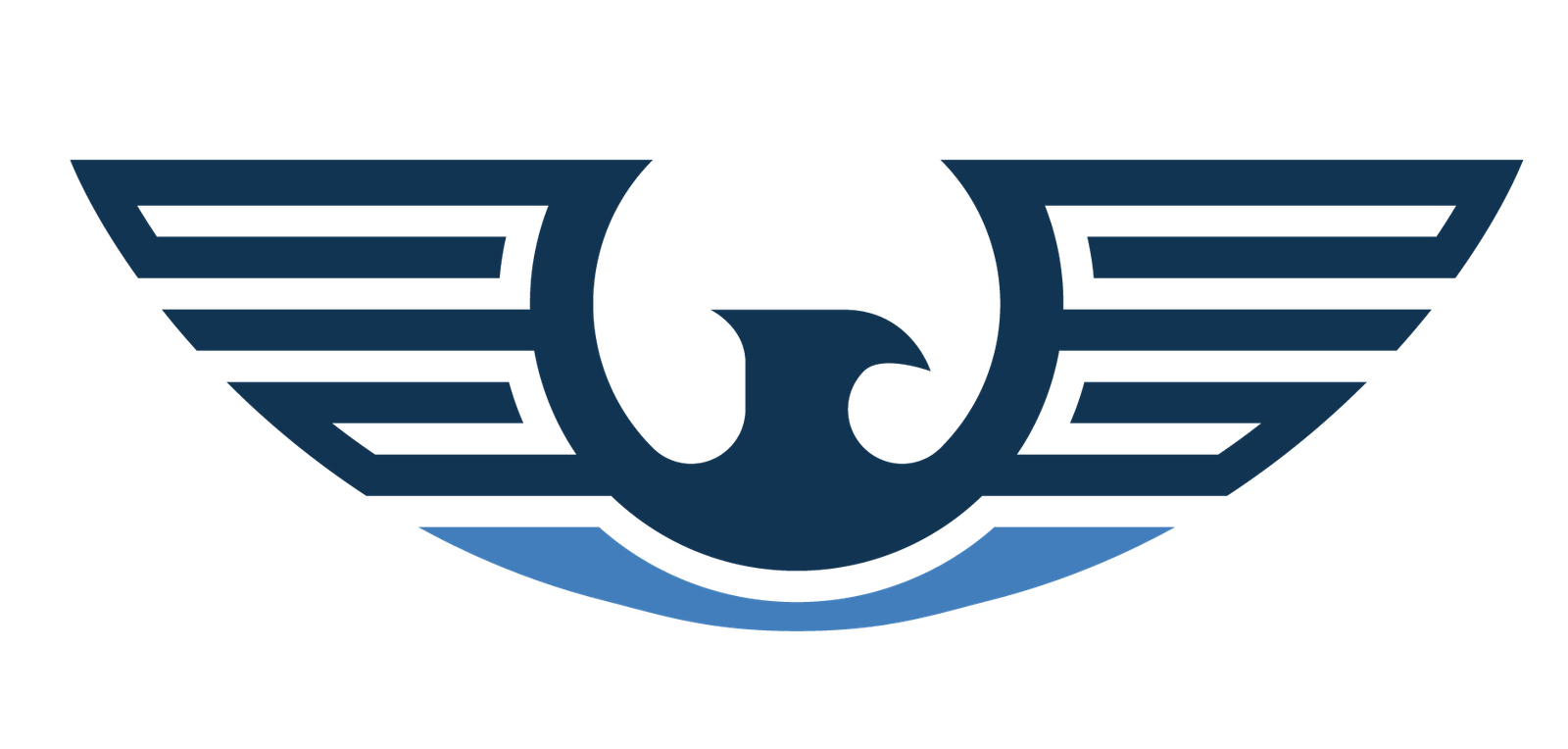 The Research Hawk favicon